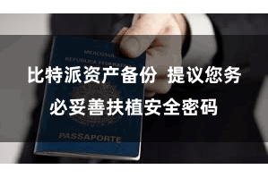 比特派资产备份 提议您务必妥善扶植安全密码